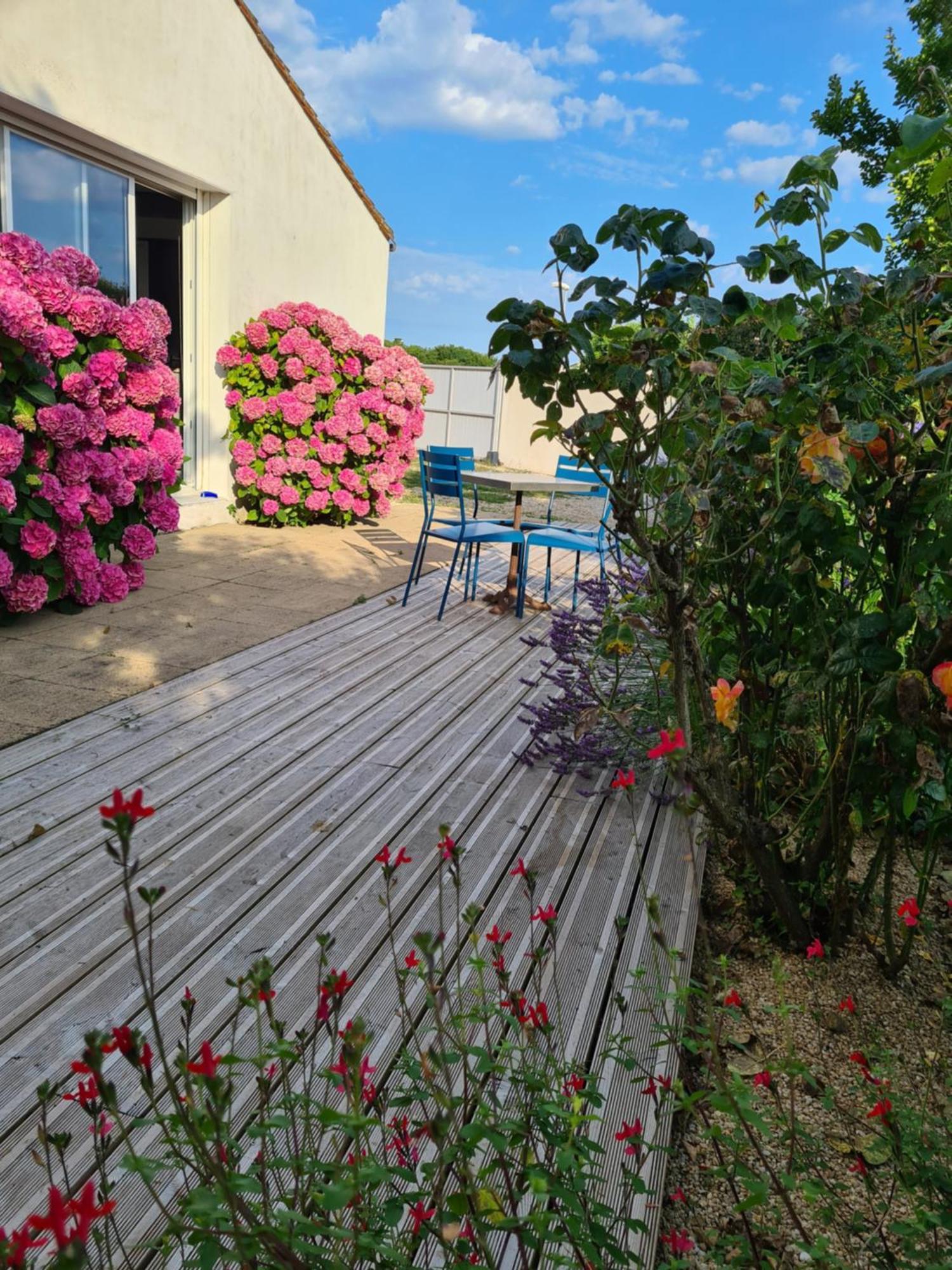 Villa De La Cible Saint-Martin-de-Ré Esterno foto