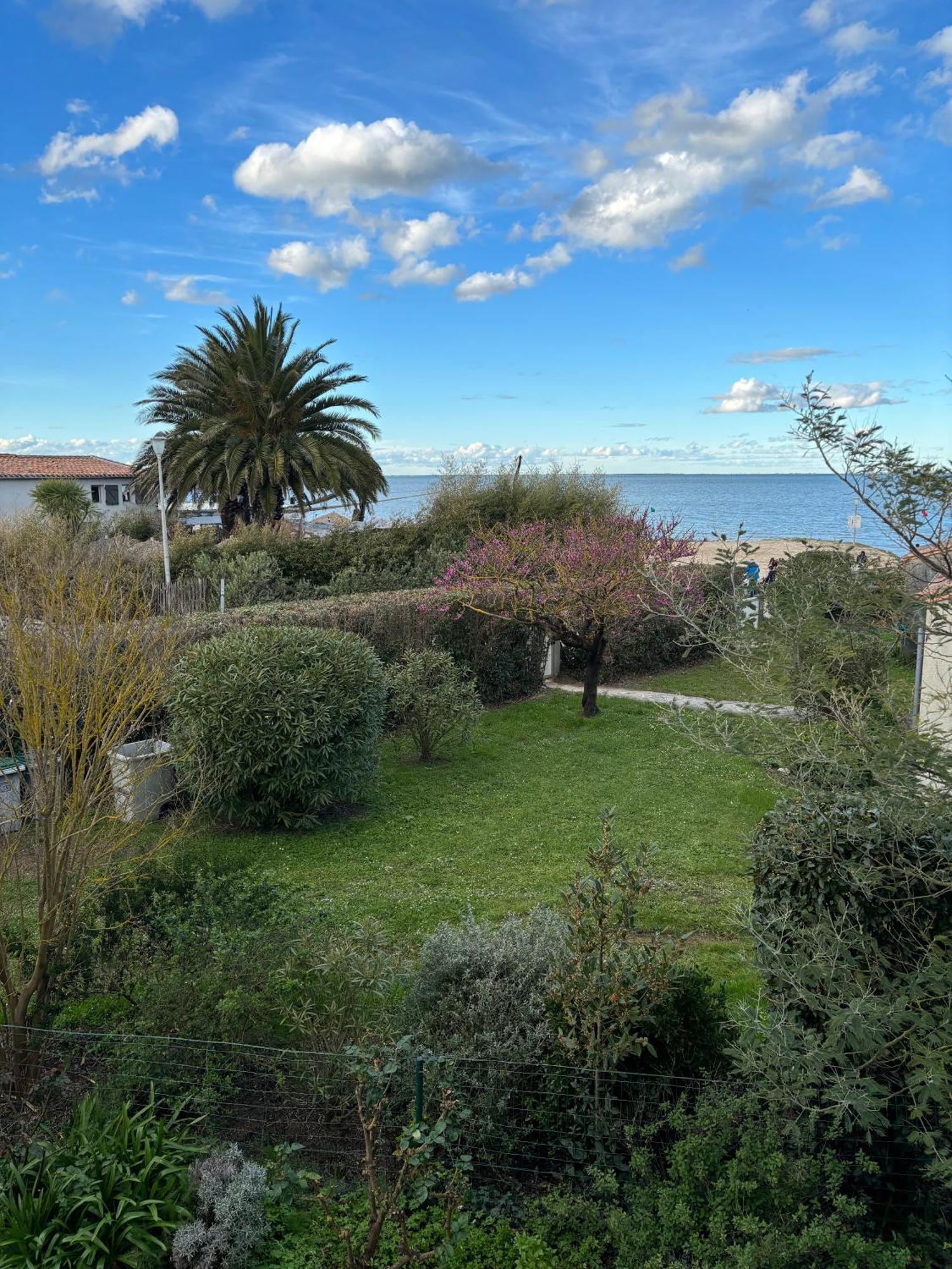 Villa De La Cible Saint-Martin-de-Ré Esterno foto